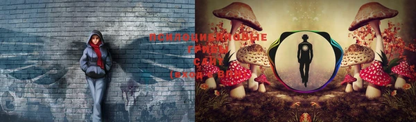 эйфоретик Осинники