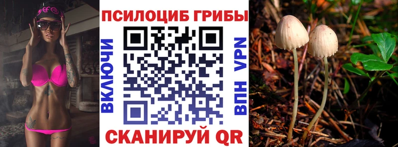 Псилоцибиновые грибы мицелий  Красный Холм 